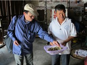 Bảo tồn các bài thuốc hay của đồng bào dân tộc Tây Nguyên
