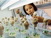Đội ngũ trí thức phải trở thành nguồn lực phát triển Thủ đô