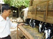 Nông thôn đổi thay nhờ khoa học công nghệ