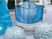 Đông lạnh não để chờ được hồi sinh trong tương lai