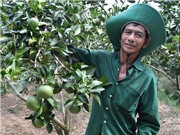 Nhà nông "bắt" đất phèn "đẻ" tiền tỷ