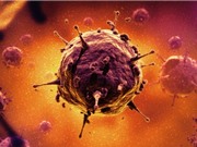 "Trẻ mãi không già" nhờ tiêm virus 3,5 triệu tuổi?