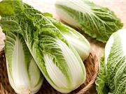 Kỹ thuật trồng cây cải thảo đơn giản, cho năng suất cao