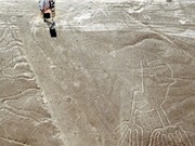 Bí ẩn chưa có lời giải về những hình vẽ Nazca ở Peru