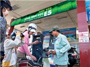 Phó Thủ tướng chỉ đạo đẩy mạnh sử dụng xăng sinh học
