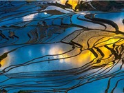 Vẻ kỳ bí của vùng đất ngàn chiếc gương đẹp ảo diệu