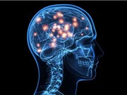 Có hay không giới hạn trí nhớ?