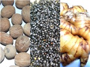 Bài thuốc hay phòng, chữa sốt xuất huyết