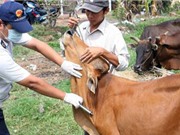 Đẩy mạnh nghiên cứu vắc xin, kiểm soát bệnh lở mồm long móng