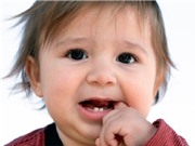 Con người có thể mọc răng không giới hạn