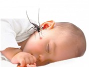 Sốt xuất huyết: Dấu hiệu và cách điều trị