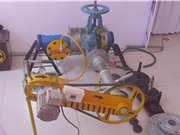 Chẩn đoán sớm ung thư cổ tử cung bằng kháng thể đơn dòng