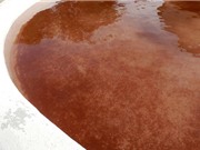 Bí ẩn hiện tượng sông, suối Tây Ban Nha đột nhiên "nhuộm máu"