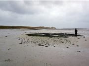 Khu định cư thời đồ đồng khổng lồ lộ diện trên bãi biển Scotland