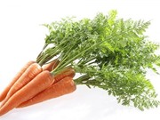 6 loại thực phẩm tương đương với thuốc tránh thai