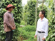 100 cánh đồng tiền tỷ nhờ ứng dụng KH-CN được vinh danh