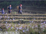 Du lịch Tết: Cầm điện thoại lên và đi