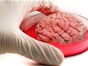 Nhiều tiến bộ giải mã gene chữa bệnh nan y trong năm 2015