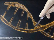 30USD để sửa gene người - nỗi sợ đột biến mất kiểm soát