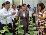 TP.HCM đầu tư mạnh cho phát triển công nghệ sinh học