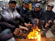 Chặt phá rừng gián tiếp gây ra đợt lạnh kỷ lục ở miền Bắc