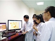 Việt Nam sắp có bò nhân bản vô tính