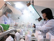 Phát triển các cơ sở ươm tạo KHCN