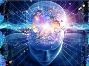 Giải mã lý do con người đưa ra quyết định sai lầm