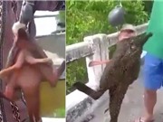 Ngư dân Thái Lan câu được cá kỳ lạ có 4 chân