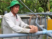 Kỹ sư "chân đất" chế hệ thống phun, tưới tự động