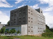 Thu lãi hàng tỷ đồng nhờ “hát ru” chim yến