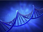 Phát hiện gene định hình sự sống trên Trái đất
