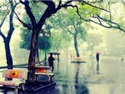 Hà Nội trời chuyển rét, Nam Bộ nắng nóng trên 37 độ C
