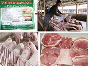 Thực phẩm bẩn: Nguyên nhân số một gây bệnh ung thư