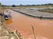 Nhiều nông dân trúng bạc tỷ nhờ hạn - mặn 