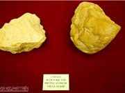 Phát hiện di tích của tổ tiên người hiện đại ở An Khê