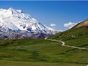 Những khám phá thú vị về mảnh đất hoang dã Alaska