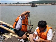 Nguyên nhân cá chết bất thường ở miền Trung: Khoa học vào cuộc