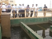 Hệ thống xử lý nước thải của Formosa vận hành thế nào?