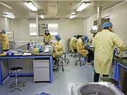 Trung Quốc bùng nổ nhà khoa học triệu đô