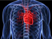 Những sự thật khó tin nhất về thế giới sinh vật