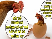 Đã có lời giải cho bài toán gà hay trứng gà có trước