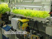 Nhiều chính sách ưu đãi, ít doanh nghiệp hưởng lợi