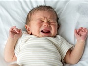 Loài người thông minh hơn nhờ trẻ sơ sinh?