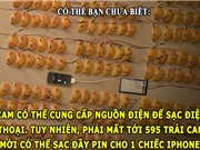 ĐỘC-LẠ: Dùng cam sạc điện thoại, DNA của người giống chuối 60%
