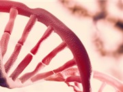 Phát hiện lớp thông tin thứ hai ẩn trong DNA