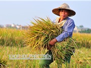 Xây dựng bản đồ công nghệ: Thước đo năng lực  công nghệ quốc gia