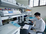 Thúc đẩy số bằng độc quyền sáng chế ở các viện, trường: Ít bằng được cấp vì quy trình chặt hơn tây
