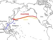 Internet Việt Nam dùng cáp biển nhanh nhất thế giới; Người Việt chế bếp nướng không bị cháy 