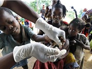 Lập gia phả để truy tìm  “ông tổ” của HIV 